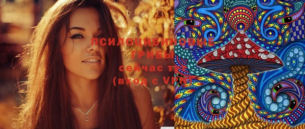 метадон Горняк