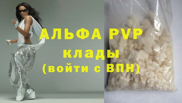 apvp Гусев