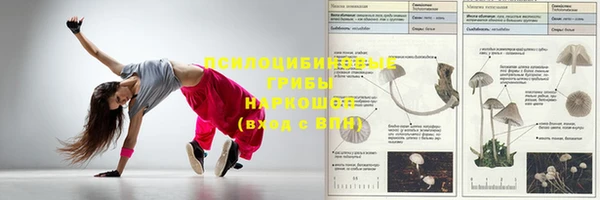 метадон Горняк