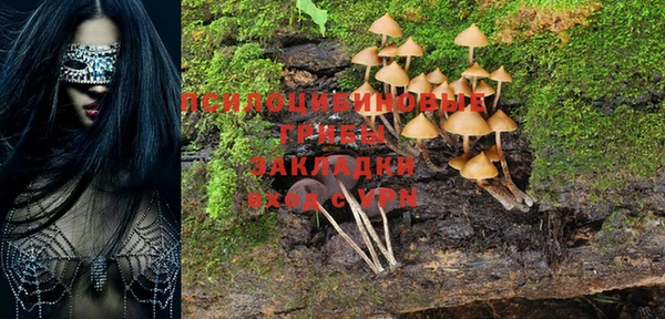 сатива Горнозаводск