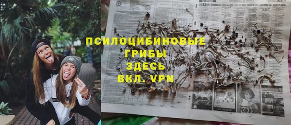 первитин Гусь-Хрустальный