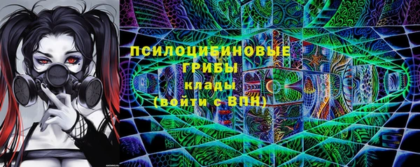 мдпв Горно-Алтайск