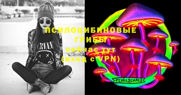 мдпв Горно-Алтайск
