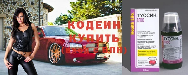 apvp Гусев