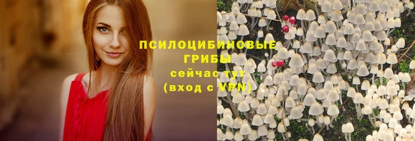 первитин Гусь-Хрустальный