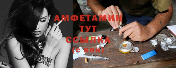 метадон Горняк