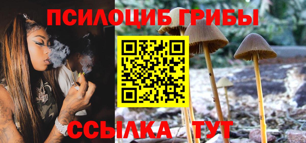 Псилоцибиновые грибы MAGIC MUSHROOMS  Вход с VPN  Чебаркуль 