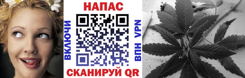 Бошки марихуана гибрид  как найти   Чебаркуль 